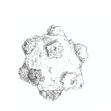 Virus